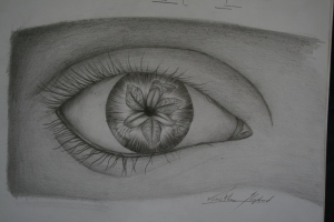 Pencil drawing of an eye with an "iris" flower inserted into it.