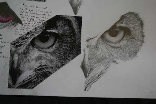 Pencil drawing of an owl that i draw last week. the full image will be posted when completed.